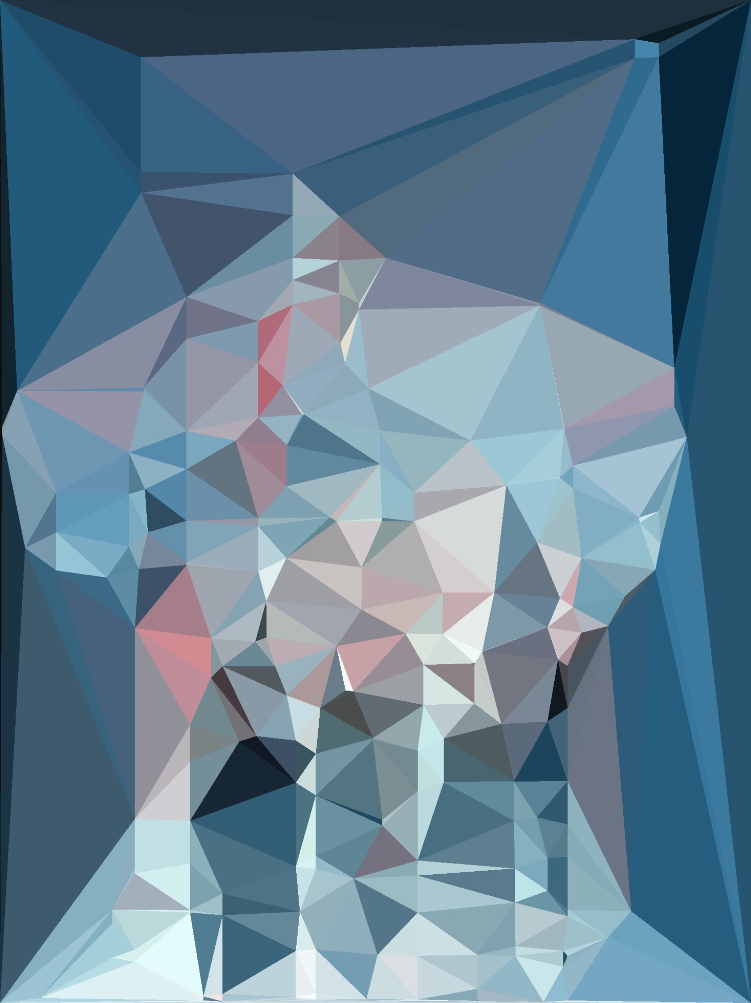 Male Torso