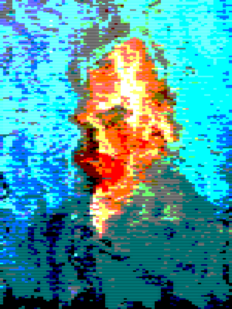 Veni Vidi Vincent