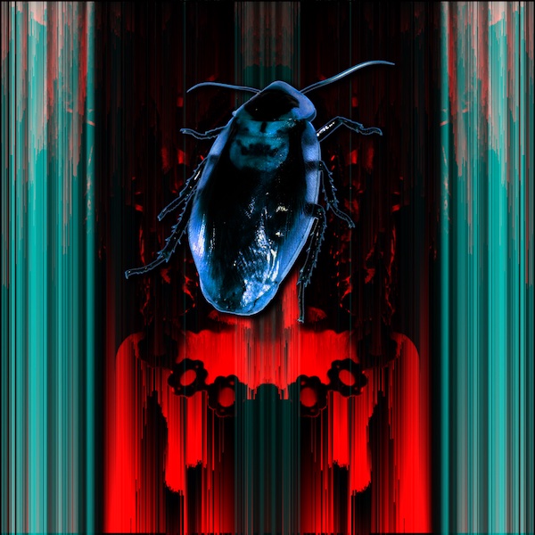 The Beauty and the Cockroach